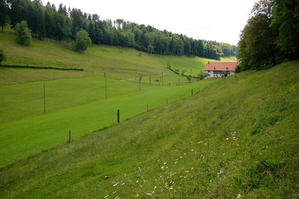 Im Hinterland von Delémont