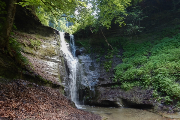 Aussichtsreiche Buchsi- und Wynigenberge