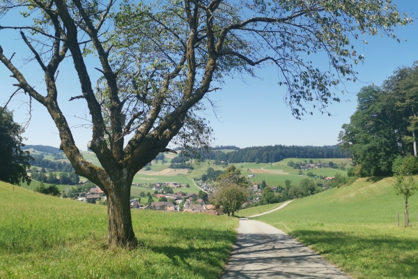 Höhenwandern im Oberaargau