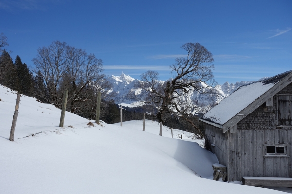 Sur la Gössigenhöchi, dans le Toggenbourg