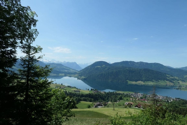 Panoramaweg über dem Ägerisee