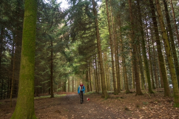 Dämmerung im Hinterland