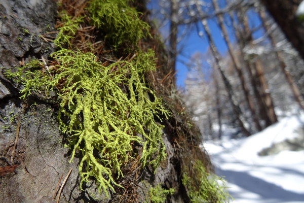 Sur la terrasse ensoleillée du Val d’Hérens