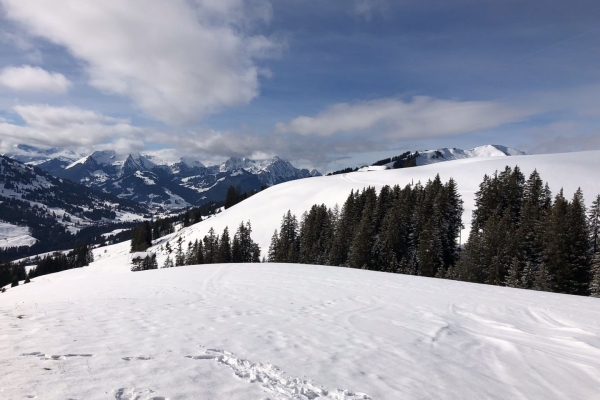 Randonnée panoramique par des hauts-marais enneigés