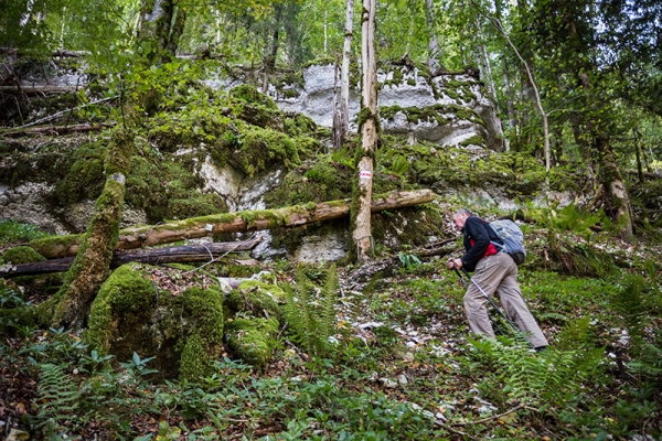 Au sommet du Jura 1