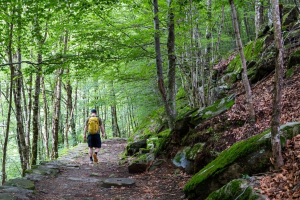 Sur des chemins isolés dans la verte Valle di Vergeletto