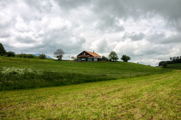 Auf dem Freiburger Voralpenweg