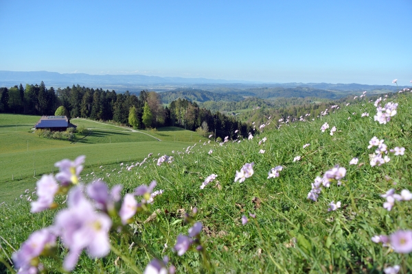 Emmentaler Sandmonumente