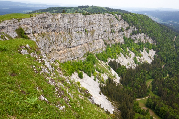 Aux portes de la France sur le Mont d'Or