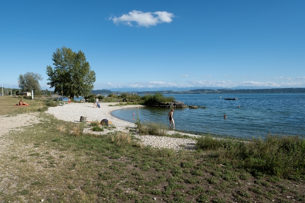 Neuchâtel, la «ville jaune»