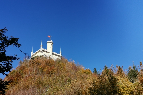 Zur Wartburg hinauf