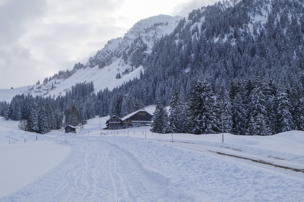 Im Seilbahnland Nidwalden