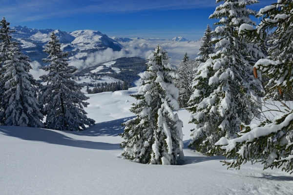 Schneeschuhtour auf der Ibergeregg