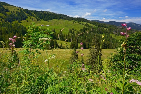 Marais enchanteur du Glaubenberg