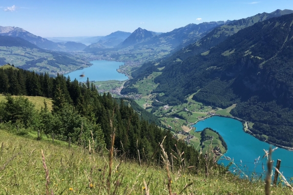 Bergfrühling in der Brosmatt oberhalb von Giswil