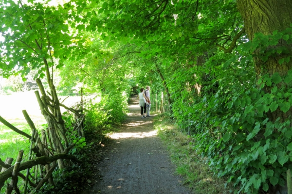 Parcours sans obstacles au bord du lac