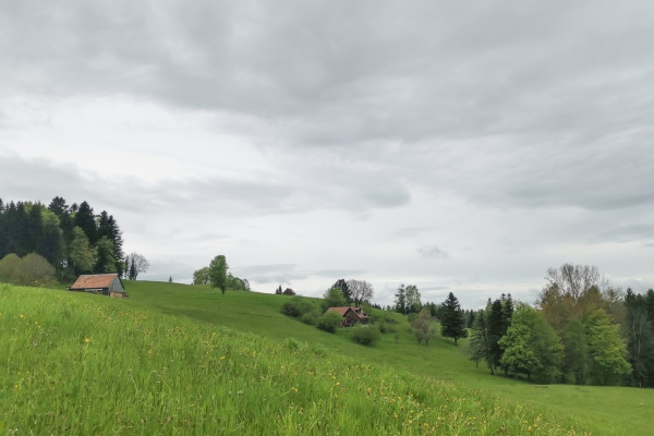 Trainingstour im Appenzeller Vorland