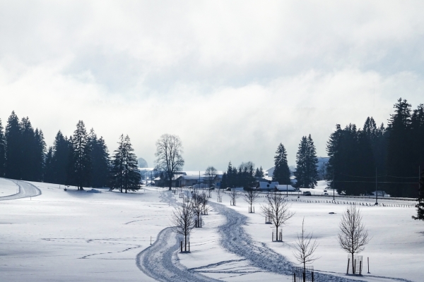 Winterwandern in den Freibergen