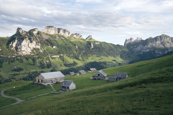 Alpstein: entre prairies et panorama