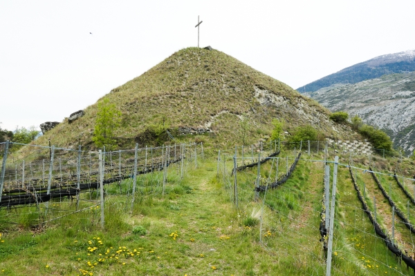 Einzigartige Blütenpracht im Turtmanntal