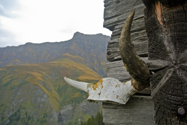 Le chemin des Walser de la vallée de Safien