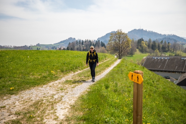 Surplomber la vallée de la Töss au Hörnli