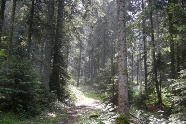 Val-de-Travers: chemin des contrebandiers