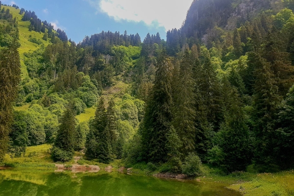 Unbekannte Gipfel im Greyerzerland