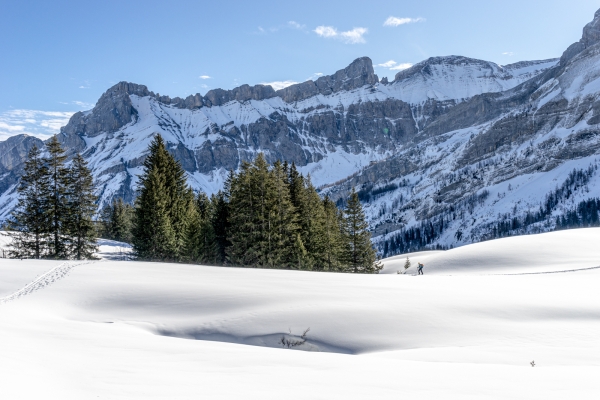 Bain de soleil devant l’ombre des Diablerets