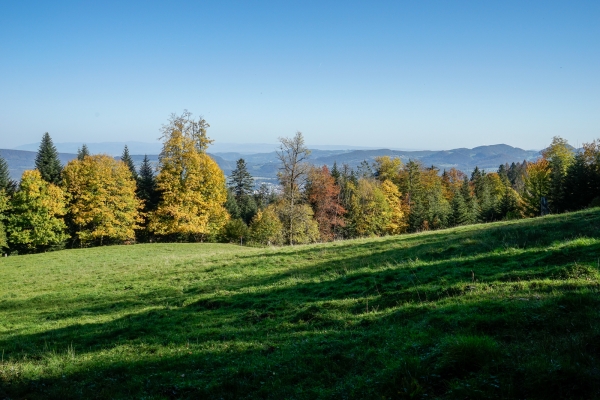 Zum Welschgätterli im Solothurner Schwarzbubenland