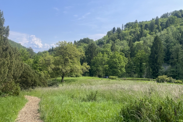 Par des chemins sinueux