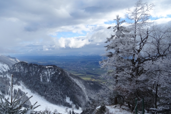 Schneeschuhtour auf dem Grenchenberg