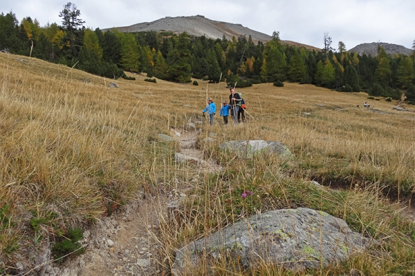 Prodiges au Parc national