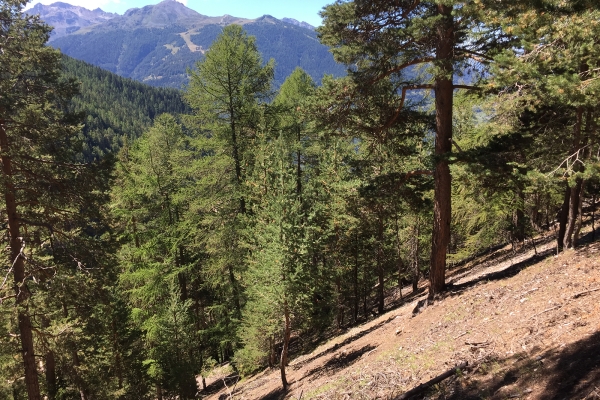 L’Illgraben vu d’en haut