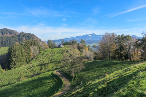 Vue sur le Säntis depuis le Neckertal