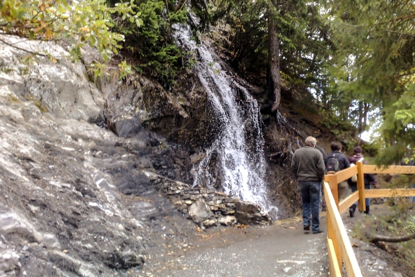 Sentier du bisse du Torrent-Neuf à Savièse