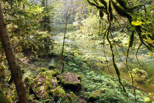 Côtes du Doubs