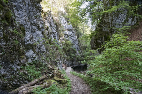 Durch die Combe Grède auf den Chasseral