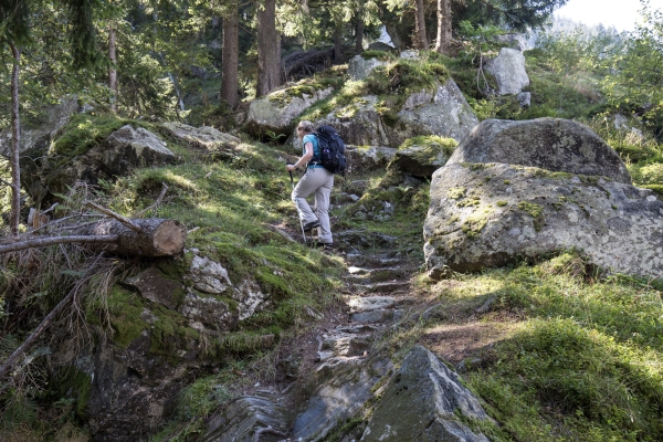 Auprès du roi des Alpes