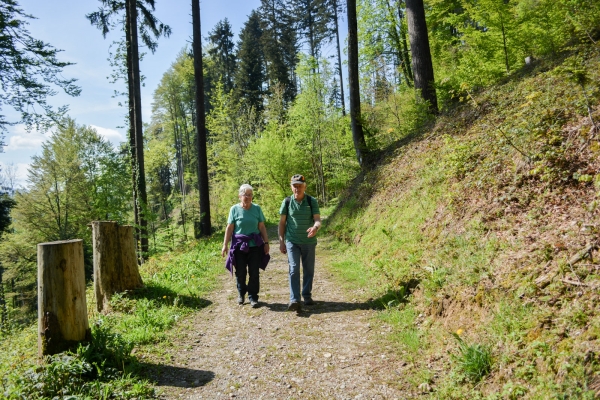 Collines du Toggenburg 