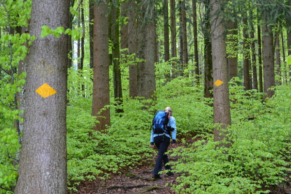 Abwechslungsreiche Jurahöhen