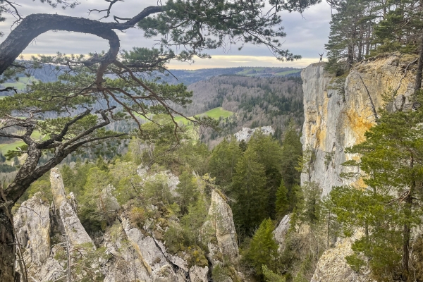 Das Geheimnis des Doubs bei Goumois