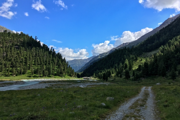 Entre les glaciers du Val Roseg