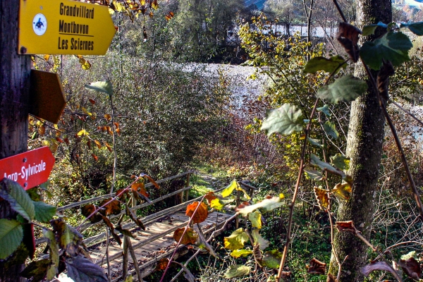 Sentier agro-sylvicole dans l’Intyamon