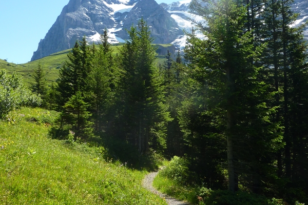 Tragédies et triomphes à l’Eiger