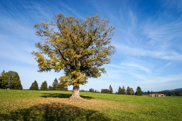 Im Jura zwischen Sonvilier und Le Noirmont