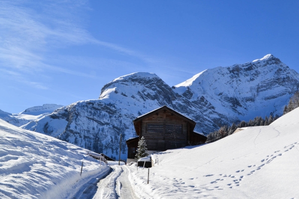 Encore plus de magie hivernale