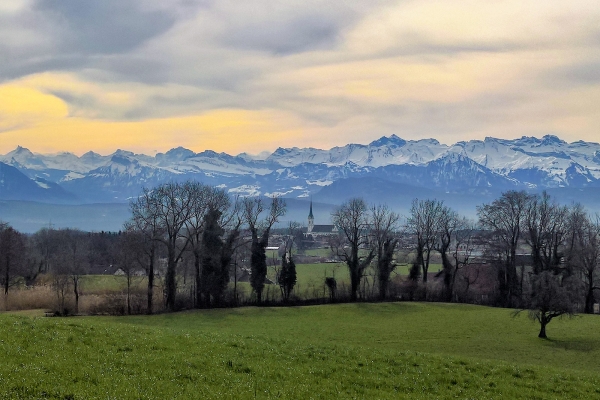 Au plus près des Alpes (LU)