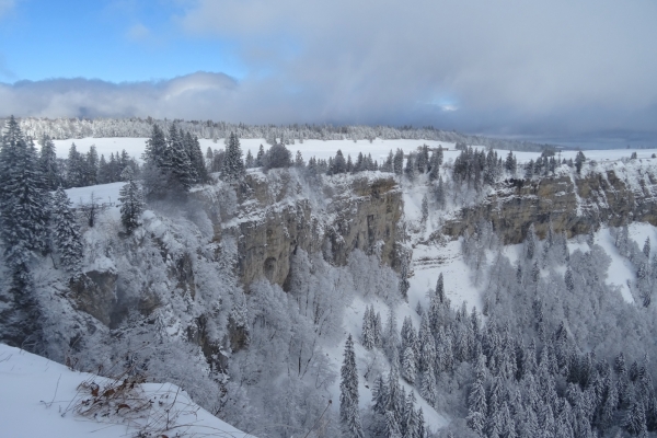 Montagne de Granges: randonnée en raquettes