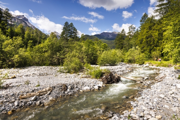 Blütenpracht hoch über dem Val Müstair